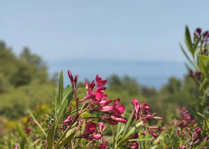 Casa vacanze La Grande Suite22 *